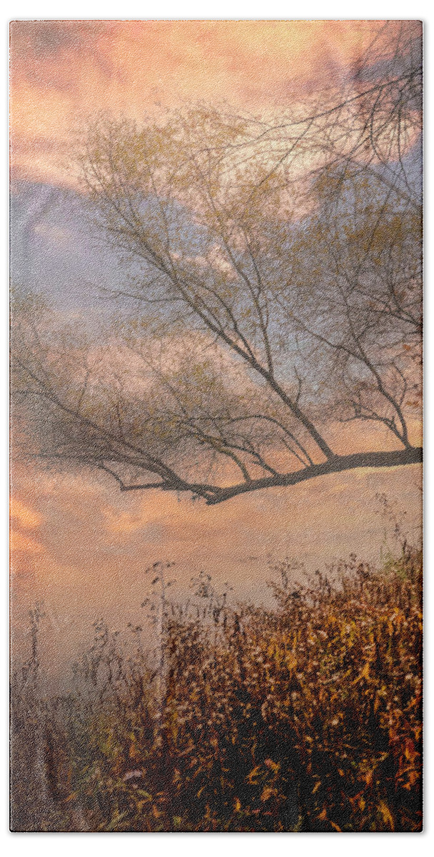 Carolina Bath Towel featuring the photograph Reaching Across the River in Autumn by Debra and Dave Vanderlaan