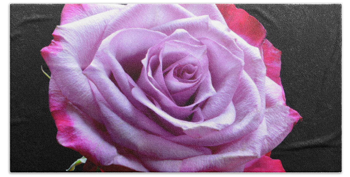 Rose Hand Towel featuring the photograph Red and Pink Rose by Terence Davis