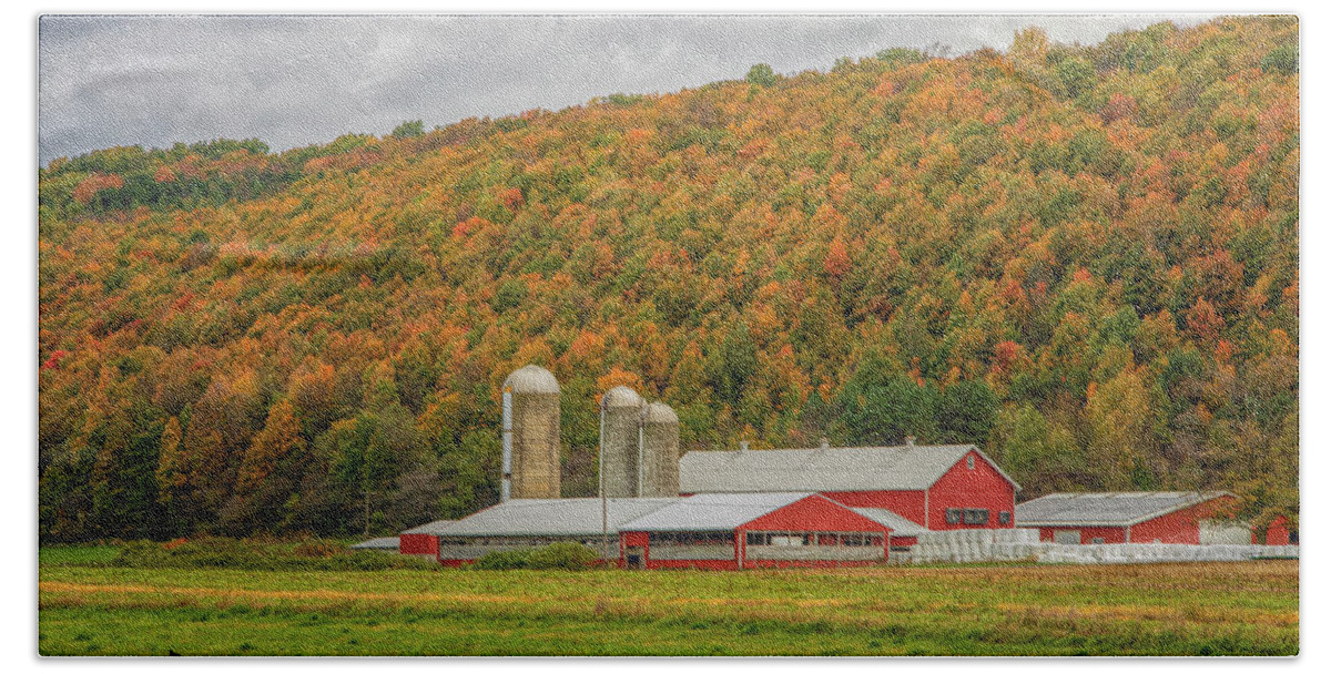 Barn Bath Towel featuring the photograph Red Barns in Autumn by Rod Best