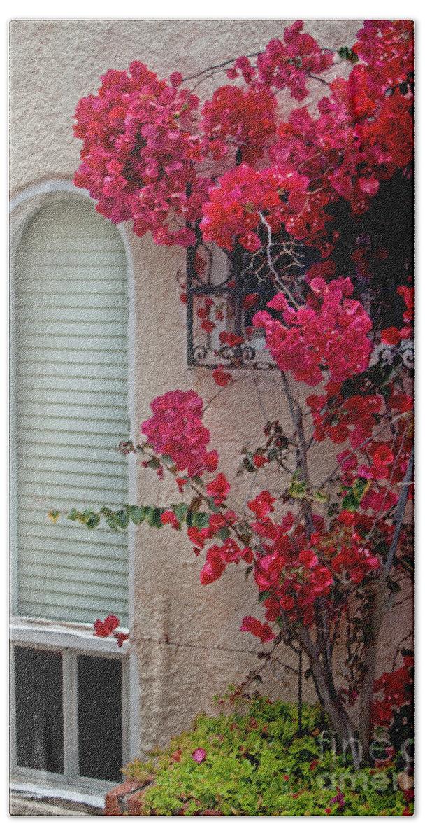 Red Bougainvillea Bath Towel featuring the photograph Red Bougainvillea by Ivete Basso Photography