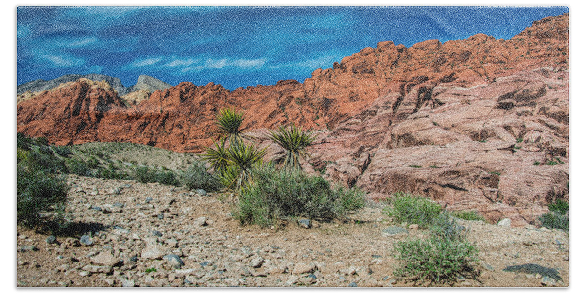 Geology Bath Towel featuring the photograph Red Calico Hills by Anthony Sacco