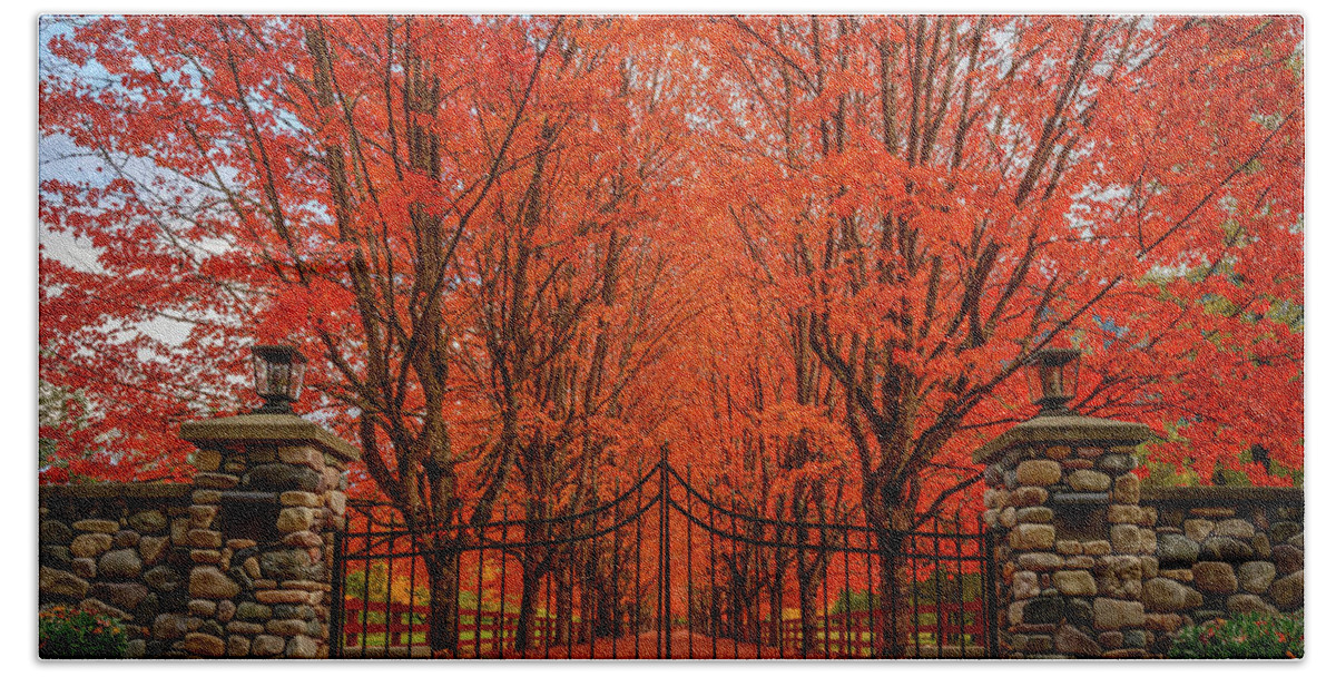 Fall Bath Towel featuring the photograph Red Canopy by Dan Mihai