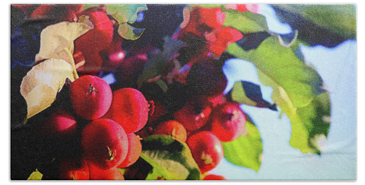 Red Bath Towel featuring the photograph Red Crab Apples by Tatiana Travelways