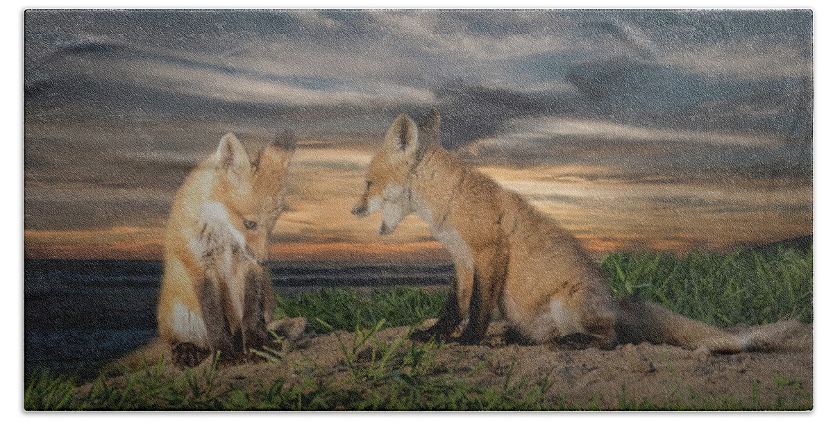 Fox Bath Towel featuring the photograph Red Fox Kits - Past Curfew by Patti Deters