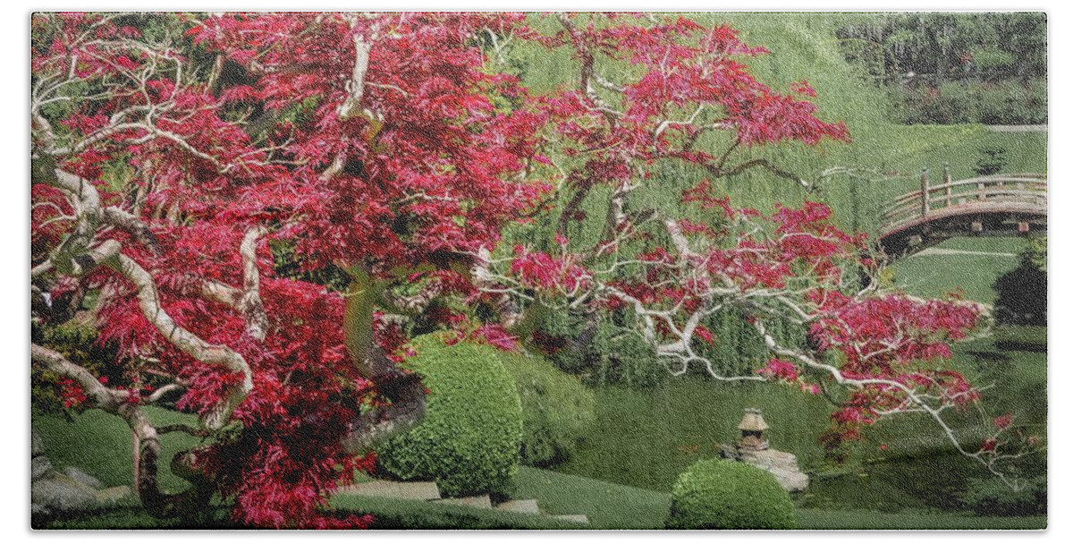 Japanese Maple Bath Towel featuring the photograph Red Leaf Japanese Maple in a Japanese Garden by Rebecca Herranen