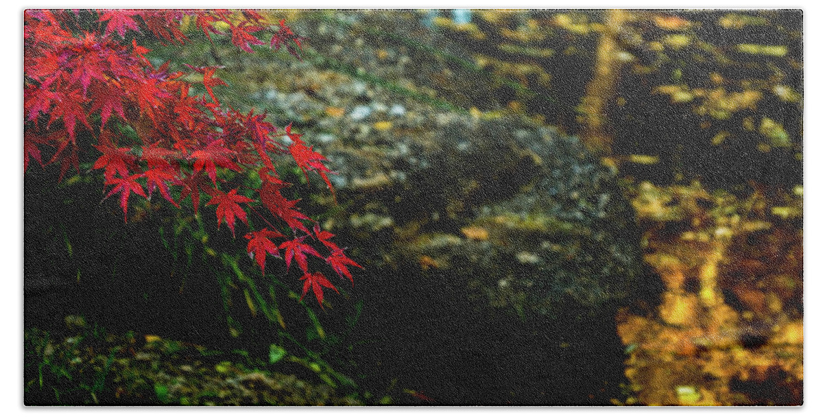 Red Maple Limb Bath Towel featuring the photograph Red Maple Limb by Johnny Boyd