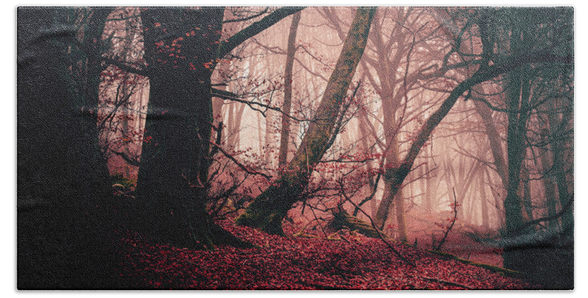 Forest Bath Towel featuring the photograph Red Mist by Gavin Lewis