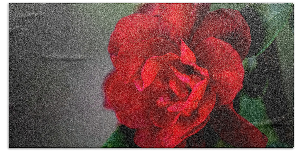 Quince Hand Towel featuring the photograph Red Quince by Linda Shannon Morgan