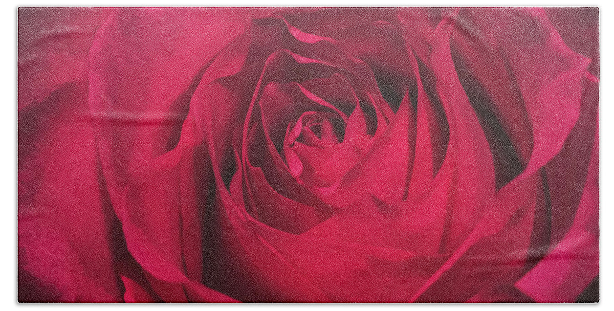 Red Bath Towel featuring the photograph Red Rose by Anamar Pictures