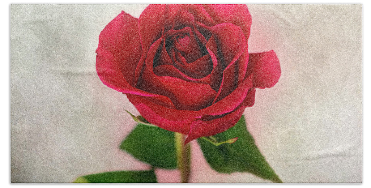 Red Rose Bath Towel featuring the photograph Red Rose Single Stem Print by Gwen Gibson