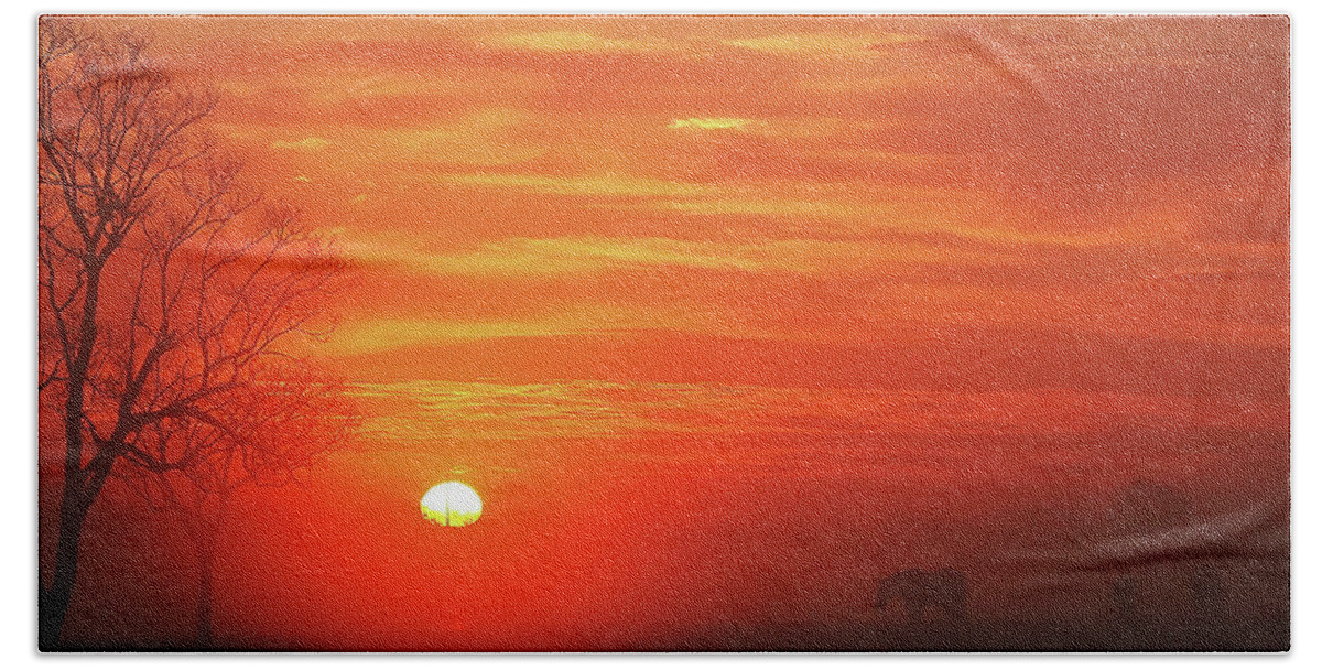 Sunrise Bath Towel featuring the photograph Red Sky Sunrise 2 by Jerry Connally