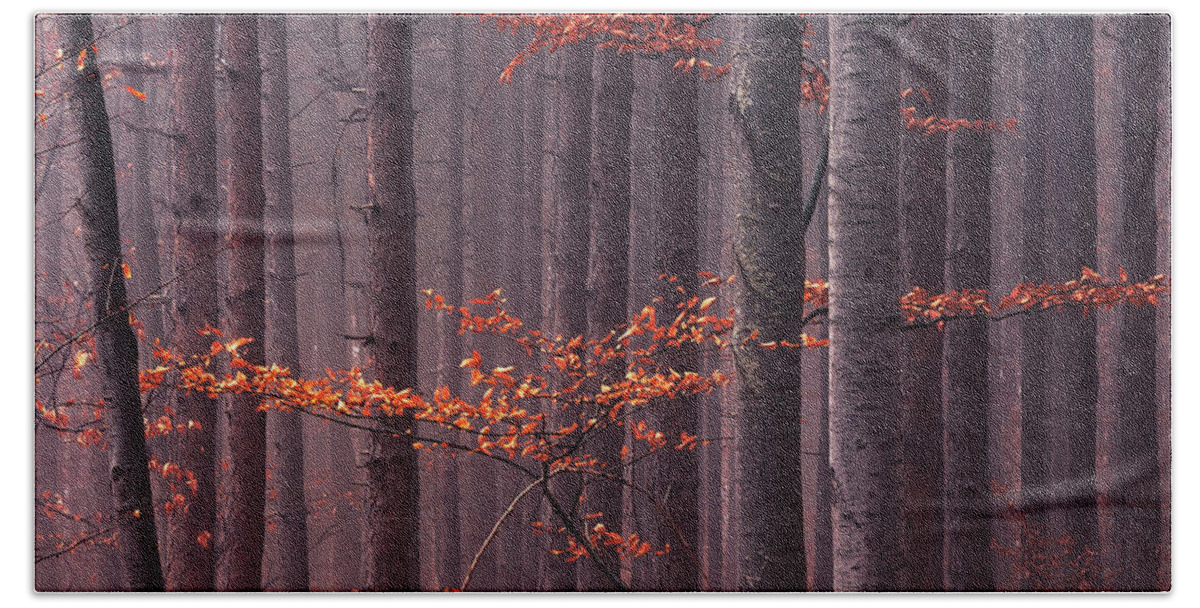 Mountain Bath Towel featuring the photograph Red Wood by Evgeni Dinev