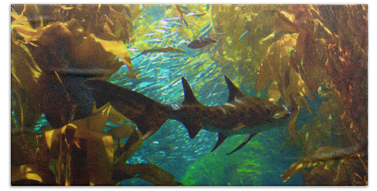 Shark Hand Towel featuring the photograph Reef Shark in the Kelp Forest by Bonnie Follett