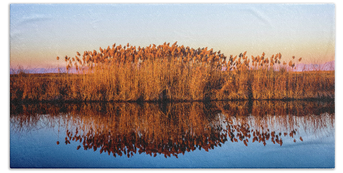 Fine Art Bath Towel featuring the photograph Reflection on Blue by Bryan Carter