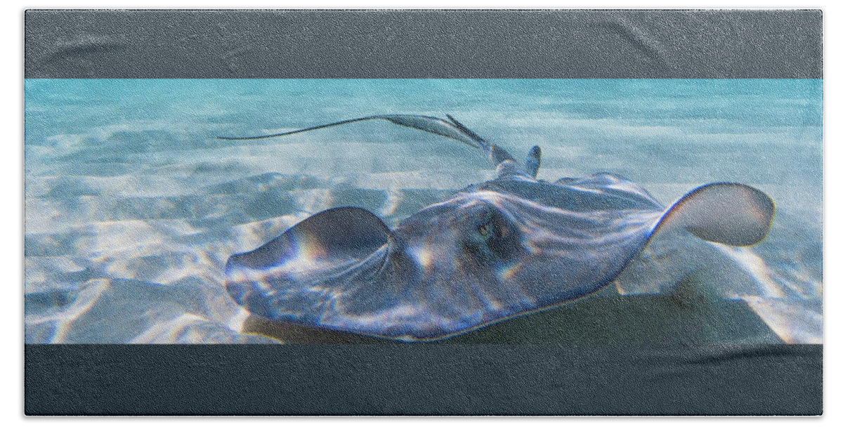 Ray Bath Towel featuring the photograph Reflections on a Southern Ray by Lynne Browne