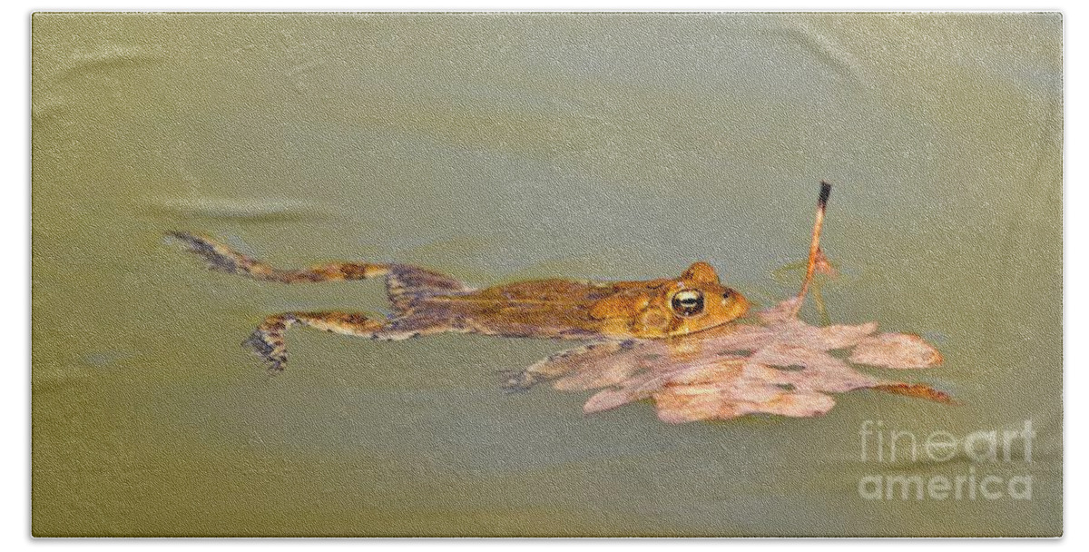 Frog Bath Towel featuring the photograph Relaxed Frog by Yvonne M Smith