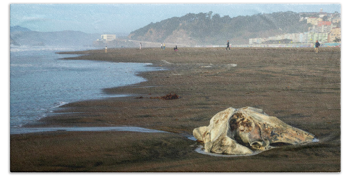 Bones Bath Towel featuring the photograph Remnant of the Sea by Bonnie Follett