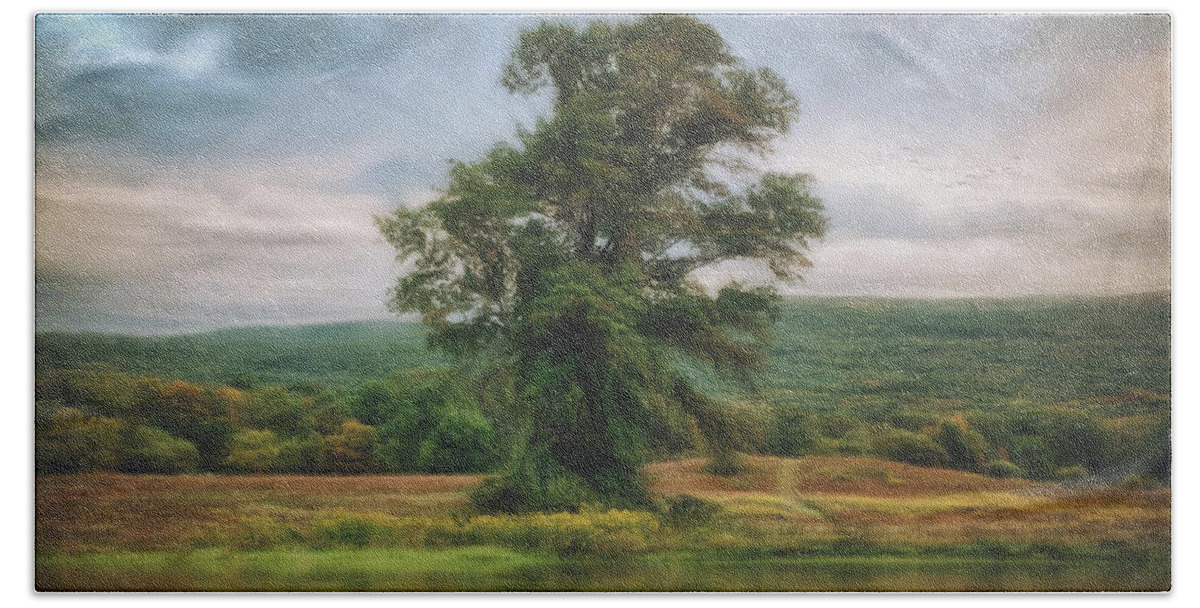 Tree Hand Towel featuring the photograph Resplendent Tree by Carol Whaley Addassi