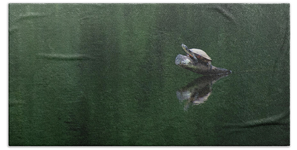 Turtle Bath Towel featuring the photograph Resting by Mary Ann Artz