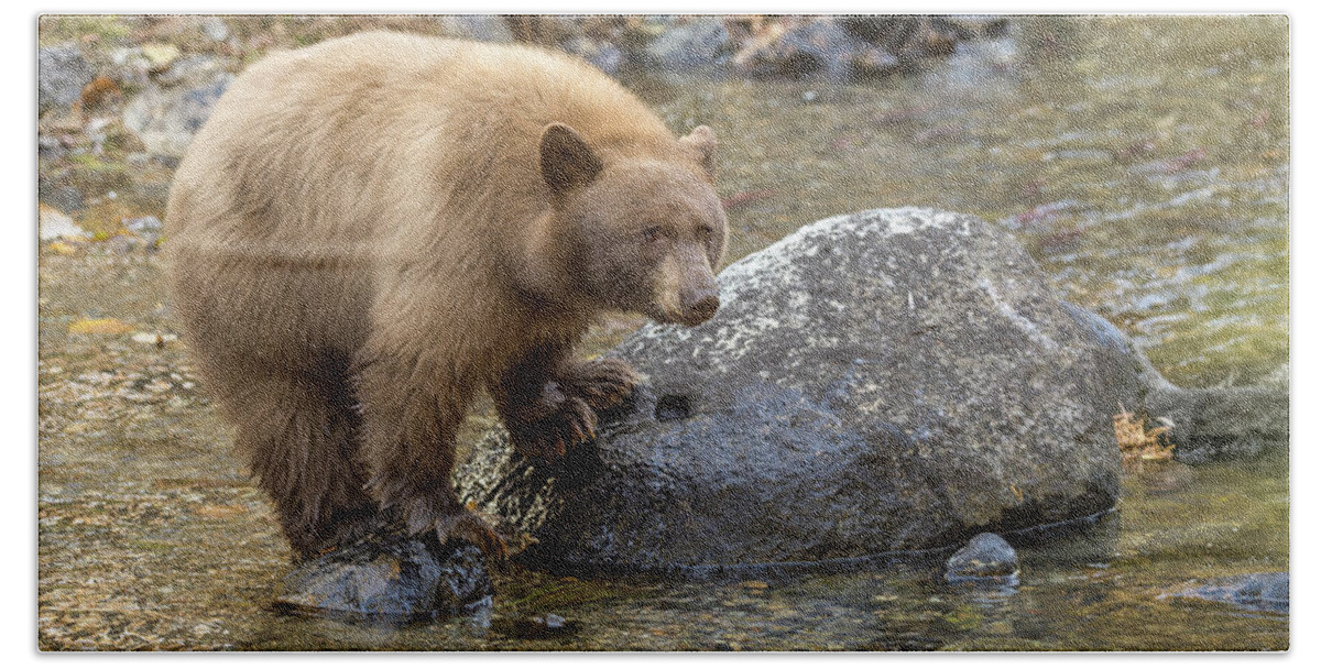 Bear Bath Towel featuring the photograph Big Bear by Scott Warner