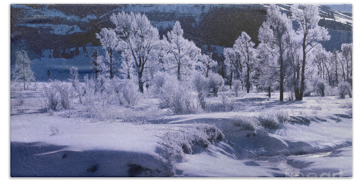 Dave Welling Bath Towel featuring the photograph Rime Ice On Trees Lamar Valley Yellowstone National Park by Dave Welling