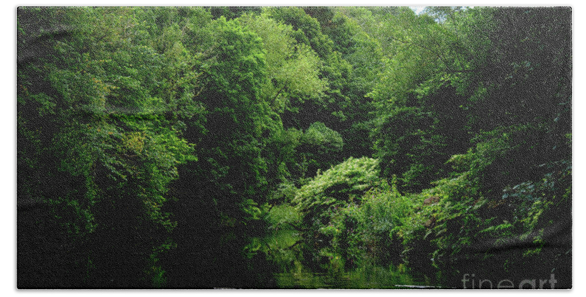 Featured Hand Towel featuring the photograph Riparian Forest - Study II by Doc Braham