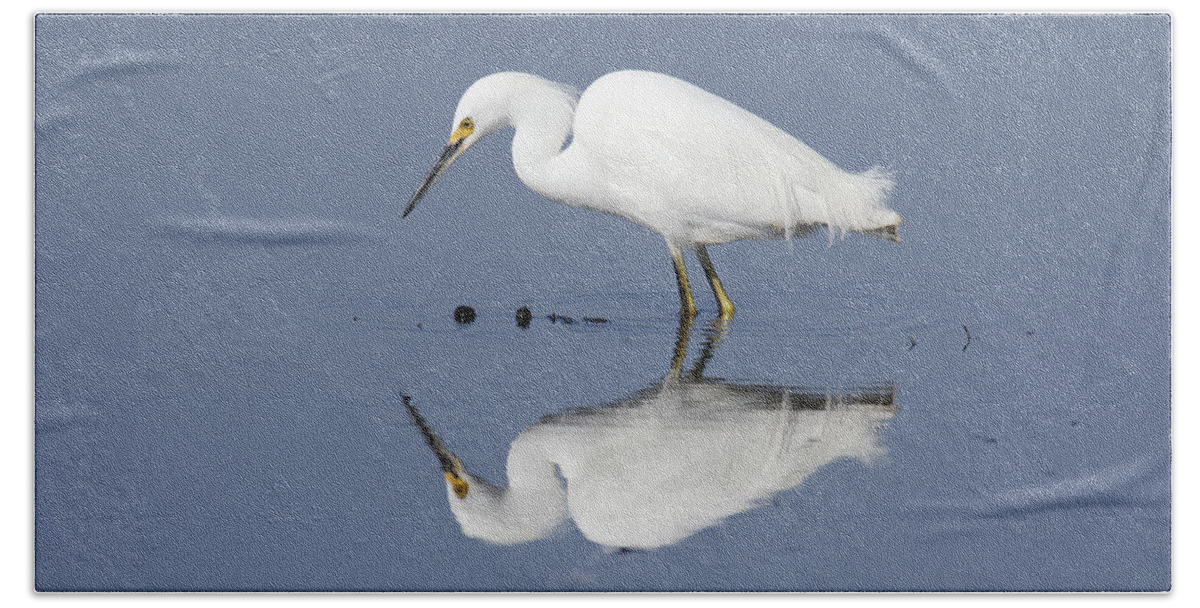 Ripples Bath Towel featuring the photograph Ripples -- Snowy Egret at the Merced National Wildlife Refuge, California by Darin Volpe