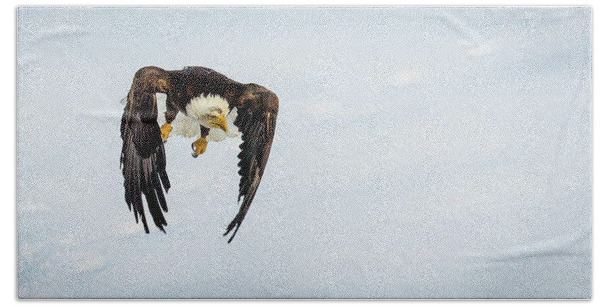 Eagle Hand Towel featuring the photograph Rising Attack by Kevin Dietrich