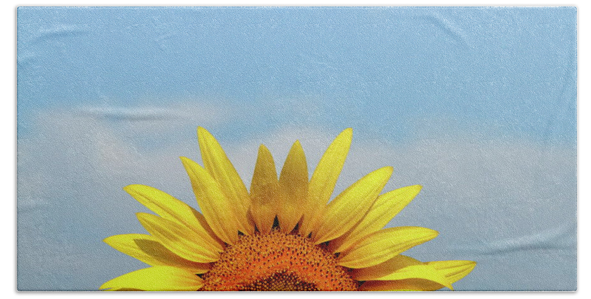 Sunflower Bath Towel featuring the photograph Rising Sun by Lens Art Photography By Larry Trager