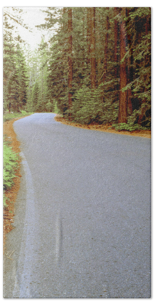 Forest Bath Towel featuring the photograph Road Through the Forest by Randy Bradley