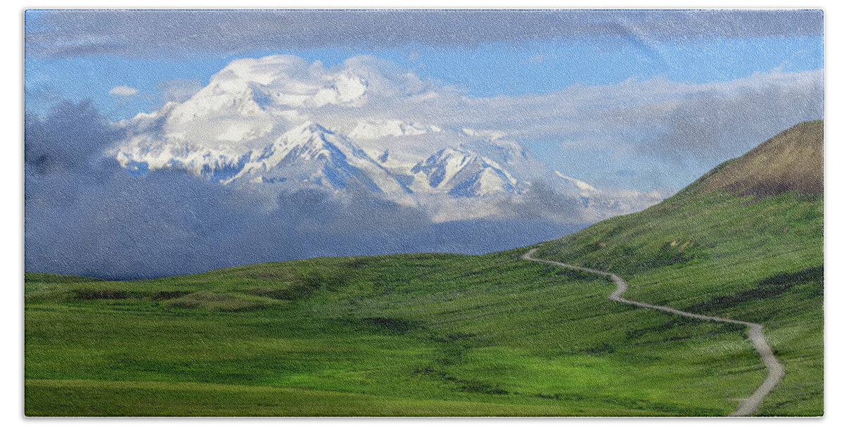 Alaska Bath Sheet featuring the photograph Road to Denali by Chad Dutson