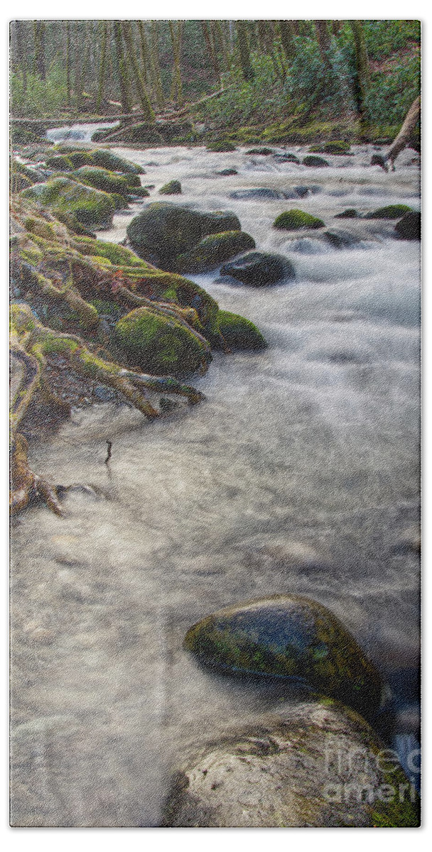  Bath Towel featuring the photograph Roadside Creek 3 by Phil Perkins