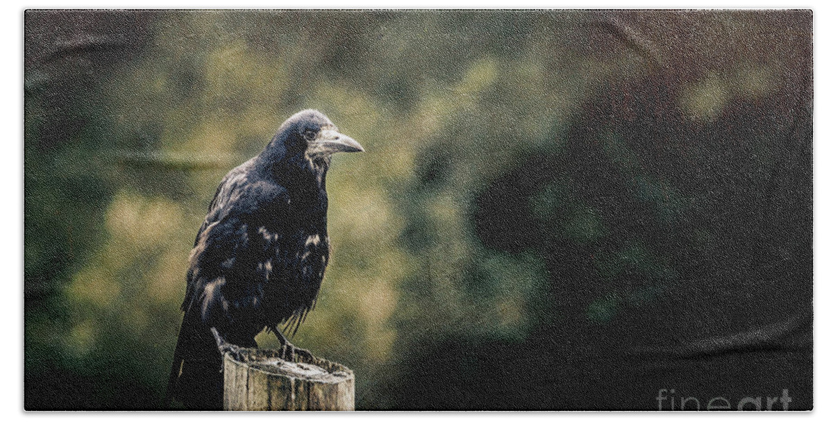 Feathers Bath Towel featuring the photograph Rook perched on a post with dark and moody background by Jane Rix