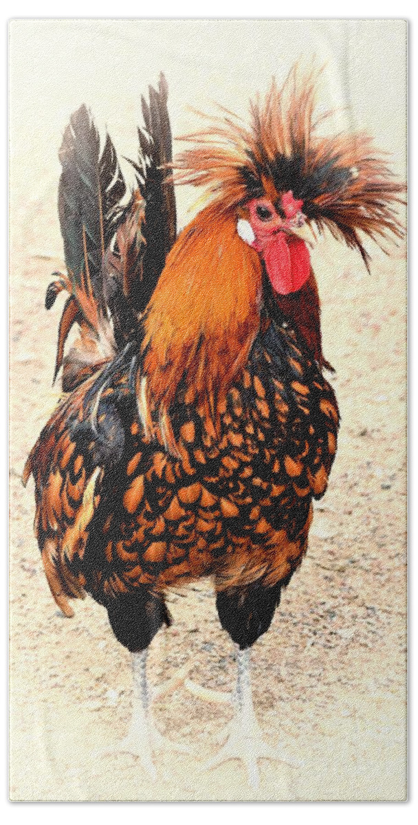 Rooster Bath Towel featuring the photograph Rooster Photo 136 by Lucie Dumas