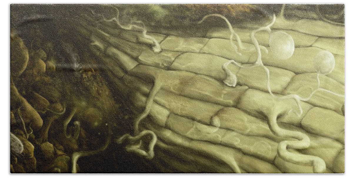 Protozoa Bath Towel featuring the digital art Root Zone by Katelyn Solbakk