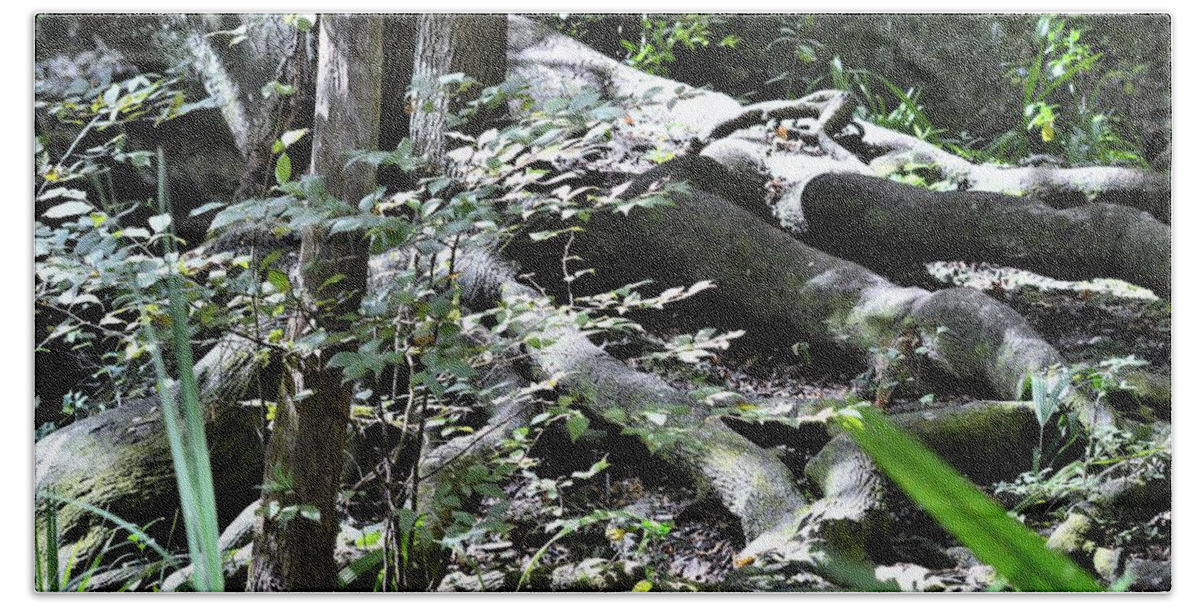 Roots In Dappled Light Bath Towel featuring the photograph Roots in Dappled Light by Warren Thompson