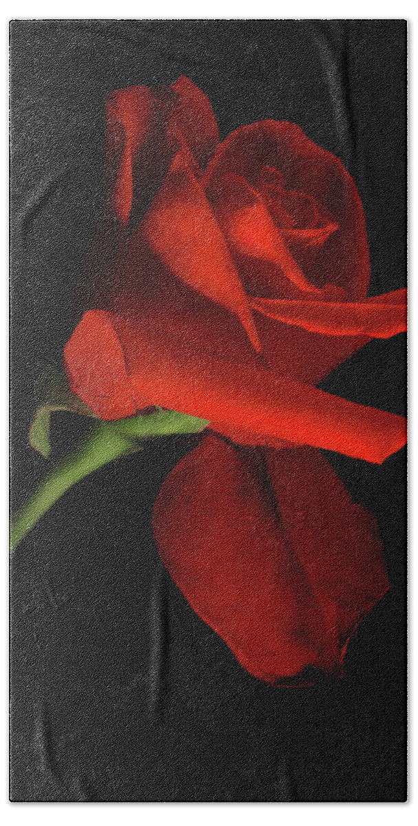 Macro Hand Towel featuring the photograph Rose 8702 by Julie Powell