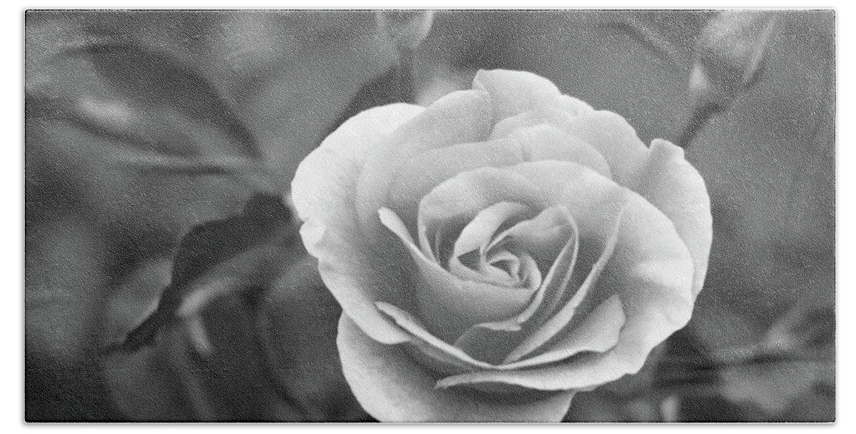 Black And White Bath Towel featuring the photograph Rose In A Different Light by Scott Burd