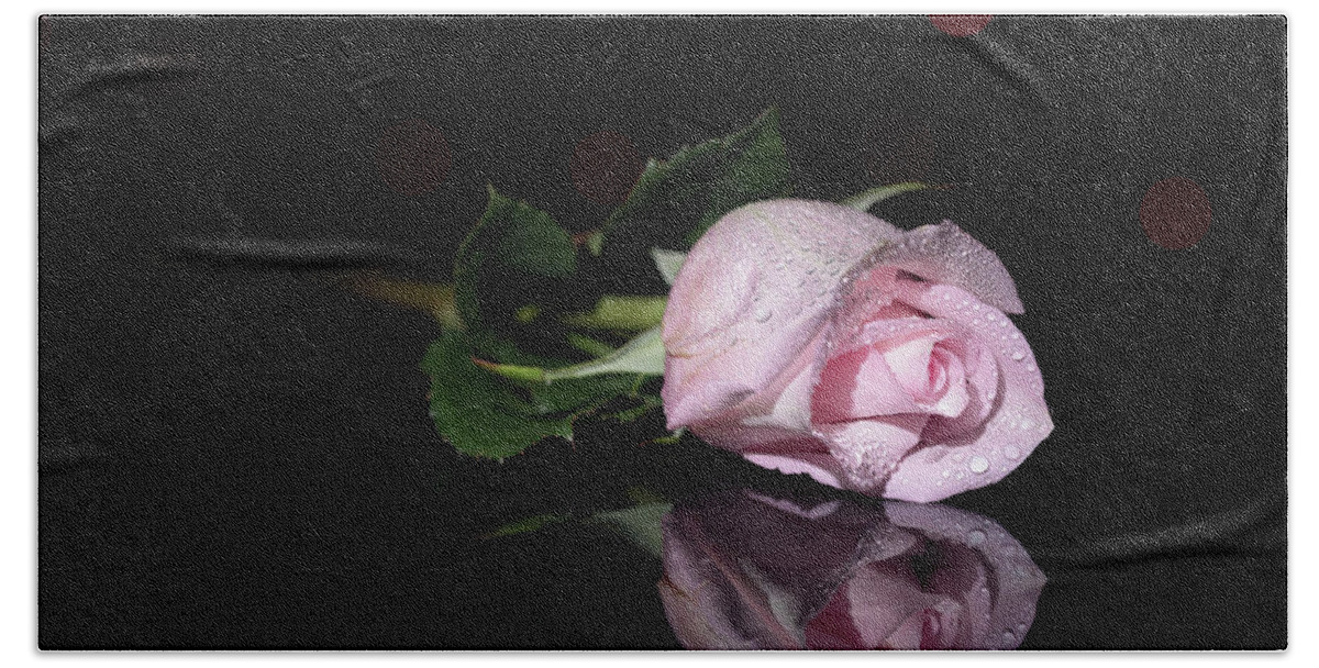 Rose Pose Flower Studio Reflection Water Dew Drop Drops Bokeh Floral Staging Botany Bath Towel featuring the photograph Rose Pose by Brian Hale