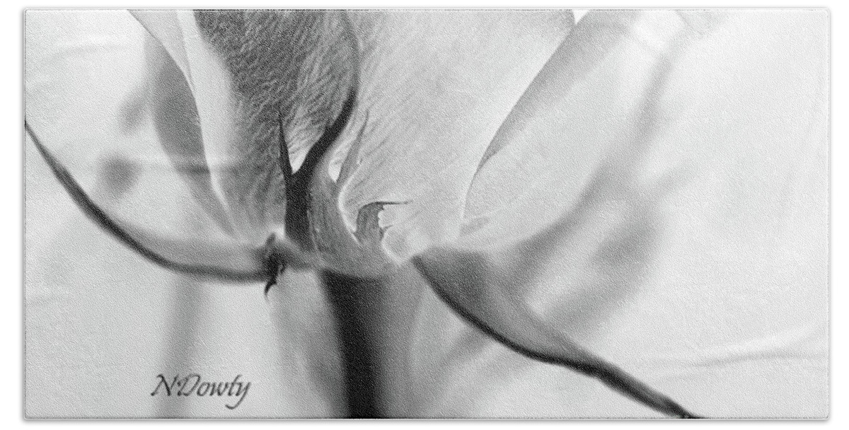 Rose Sepal Bw Bath Towel featuring the photograph Rose Sepal BW by Natalie Dowty