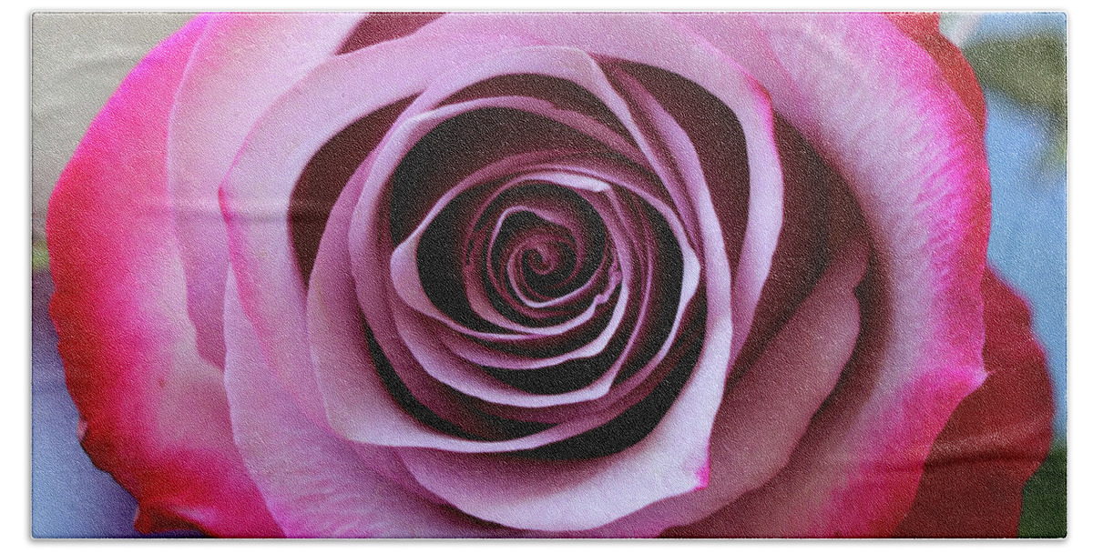 Rose Hand Towel featuring the photograph Rose Swirl by Mary Anne Delgado