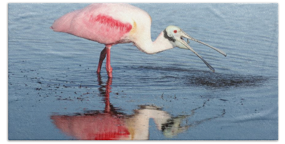 Roseate Spoonbill Hand Towel featuring the photograph Roseate Spoonbill 17 by Mingming Jiang