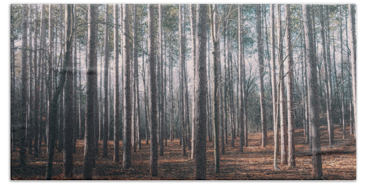 Trail Hand Towel featuring the photograph Rumor of Forests by Scott Norris