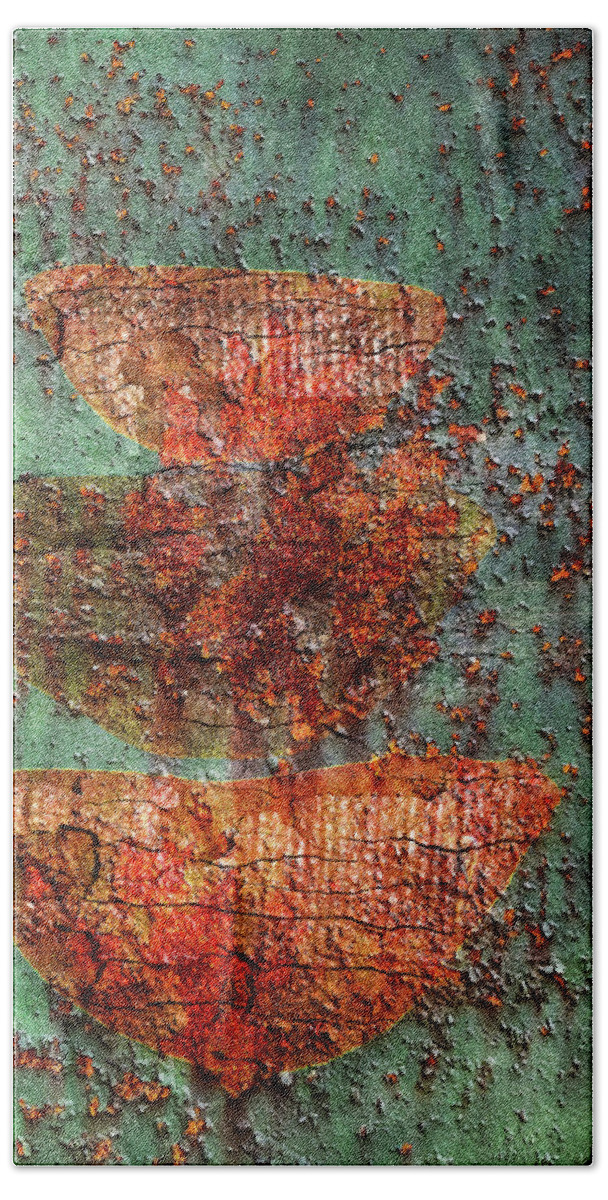 Abstract Hand Towel featuring the photograph Rust by Jacky Gerritsen