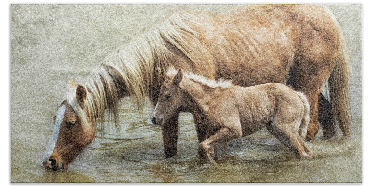 Mare And Foal Hand Towel featuring the photograph Safe By Mother's Side - South Steens Mustangs by Belinda Greb