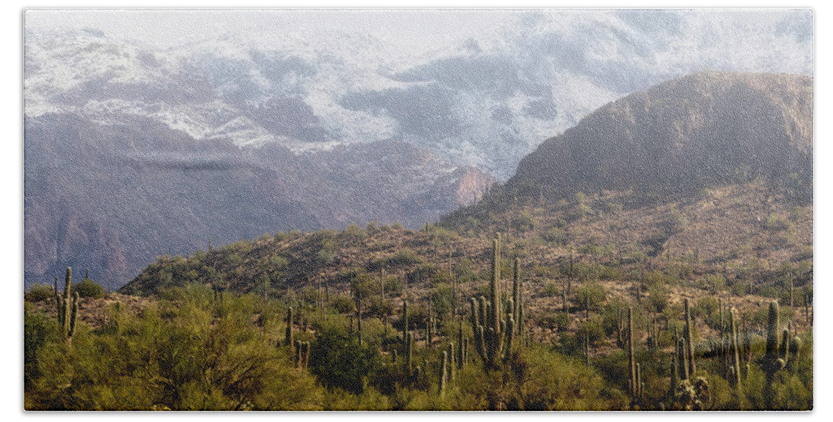 Arizona Bath Towel featuring the photograph Saguaro Amongst The Hills Of Snow by Saija Lehtonen