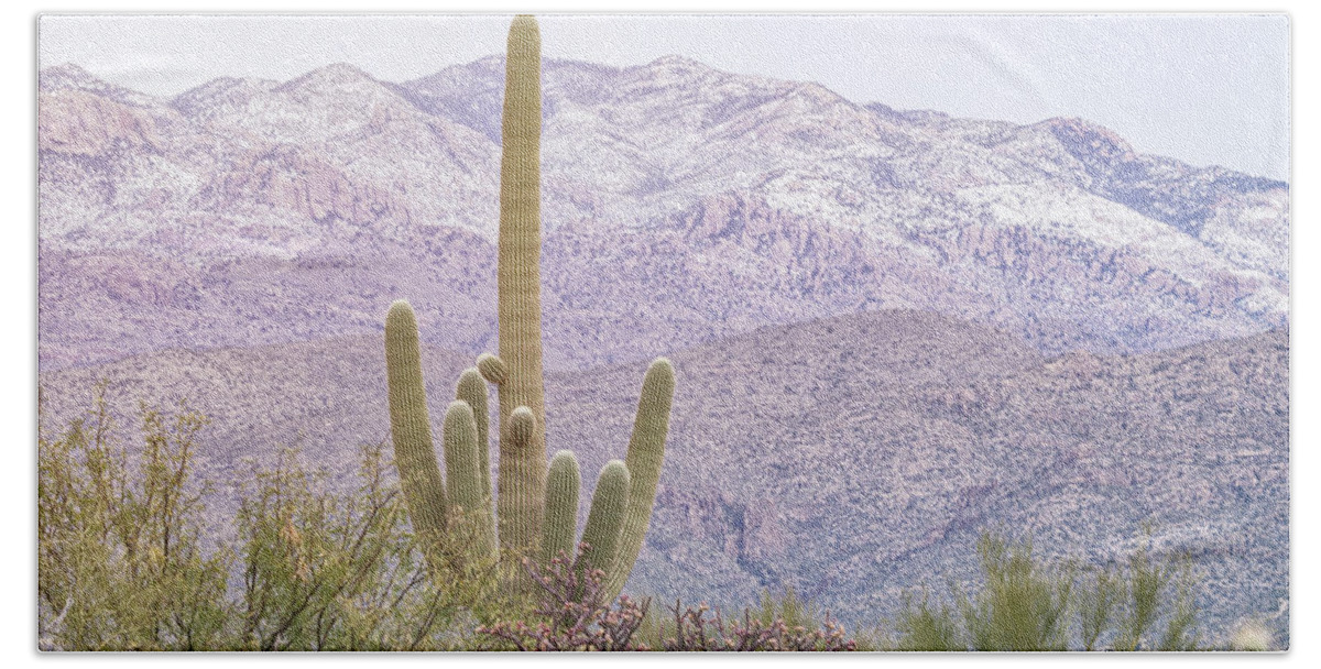 American Southwest Bath Towel featuring the photograph Saguaro And Mountains by Jonathan Nguyen