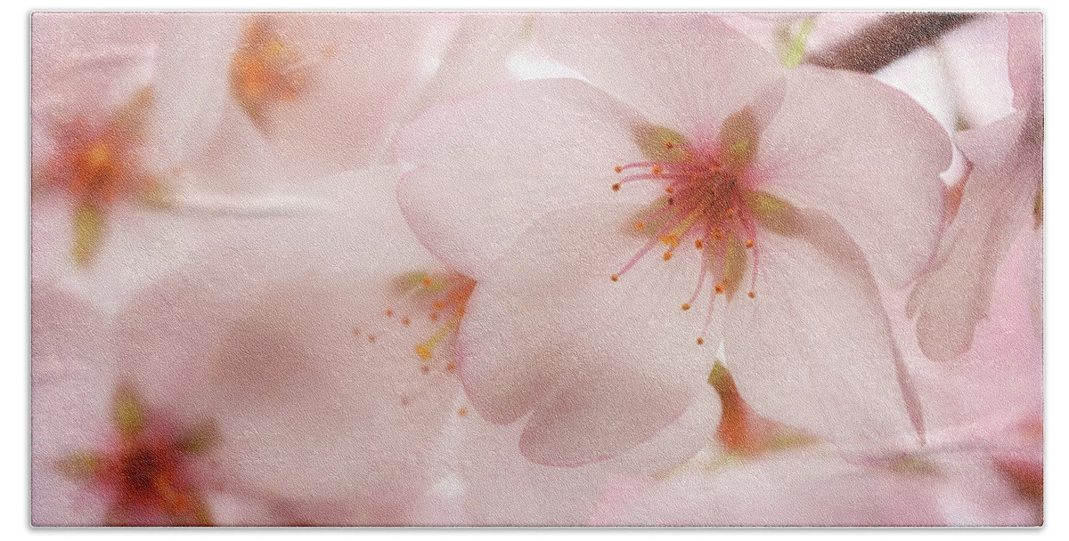 Cherry Blossoms Bath Towel featuring the photograph Sakura by Susan Rissi Tregoning