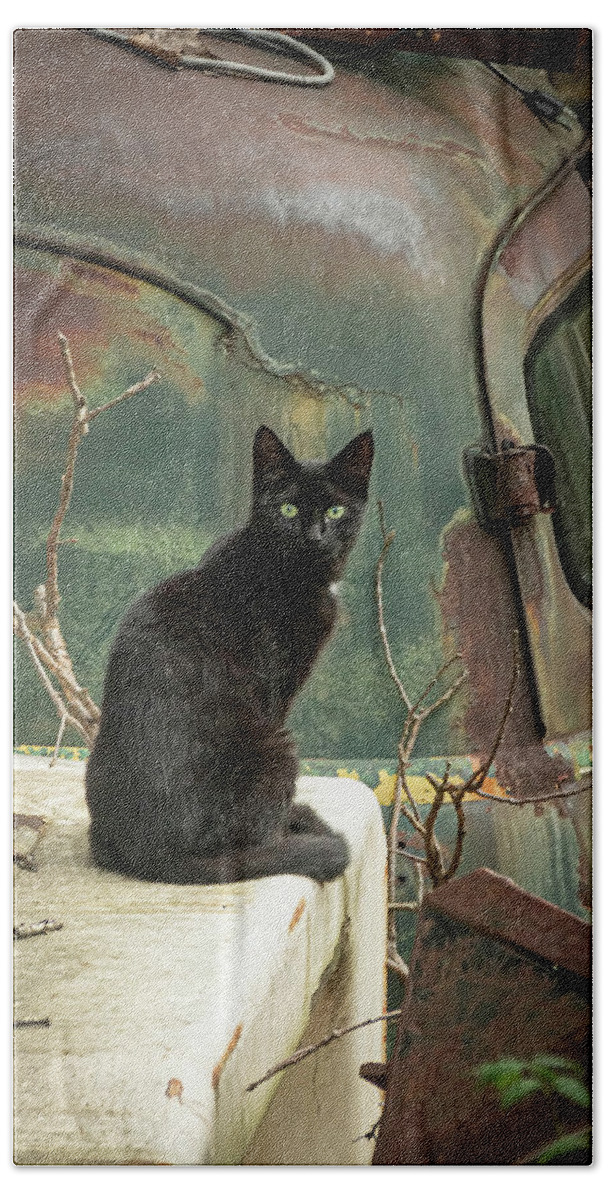 Cat Bath Sheet featuring the photograph Salvage Yard Black Cat by Kristia Adams