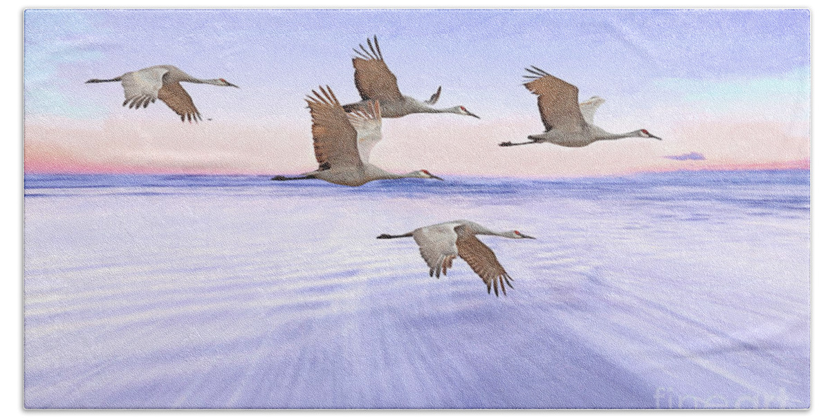 Sandhill Crane Hand Towel featuring the photograph Sandhill Crane and Purple Sunset by Laura D Young